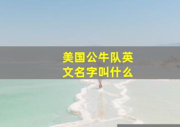 美国公牛队英文名字叫什么