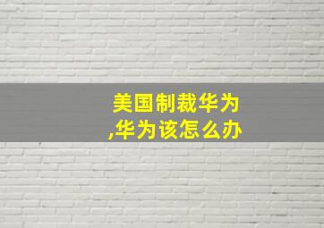 美国制裁华为,华为该怎么办