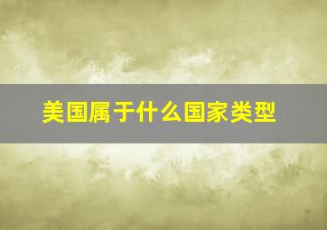 美国属于什么国家类型