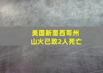 美国新墨西哥州山火已致2人死亡