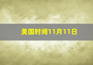 美国时间11月11日