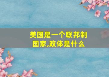 美国是一个联邦制国家,政体是什么