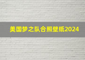 美国梦之队合照壁纸2024