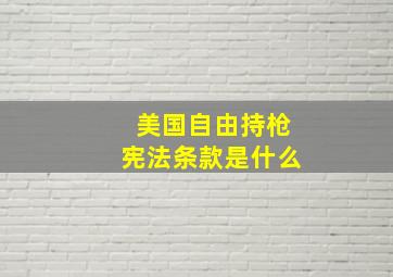 美国自由持枪宪法条款是什么