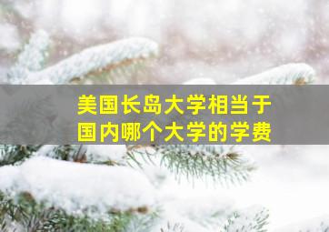 美国长岛大学相当于国内哪个大学的学费