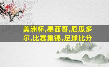 美洲杯,墨西哥,厄瓜多尔,比赛集锦,足球比分