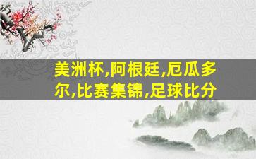 美洲杯,阿根廷,厄瓜多尔,比赛集锦,足球比分