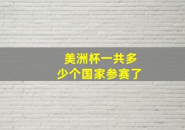 美洲杯一共多少个国家参赛了