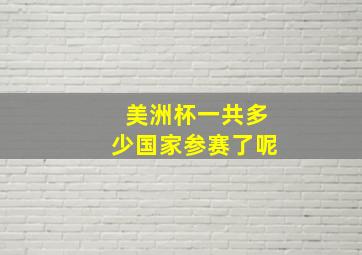 美洲杯一共多少国家参赛了呢