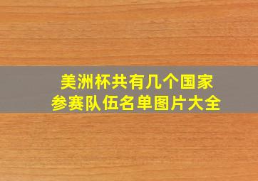 美洲杯共有几个国家参赛队伍名单图片大全