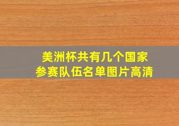 美洲杯共有几个国家参赛队伍名单图片高清