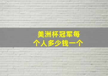 美洲杯冠军每个人多少钱一个