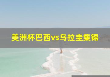 美洲杯巴西vs乌拉圭集锦