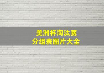 美洲杯淘汰赛分组表图片大全