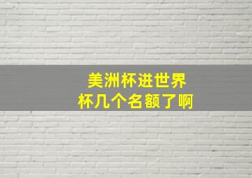 美洲杯进世界杯几个名额了啊