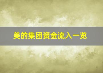 美的集团资金流入一览