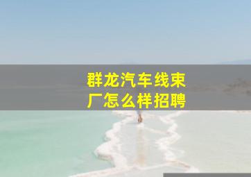 群龙汽车线束厂怎么样招聘