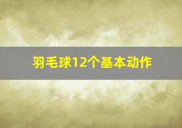 羽毛球12个基本动作