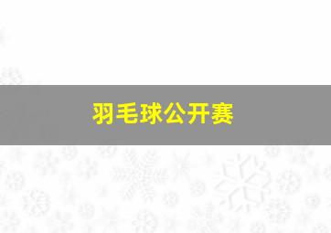 羽毛球公开赛