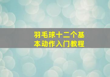 羽毛球十二个基本动作入门教程