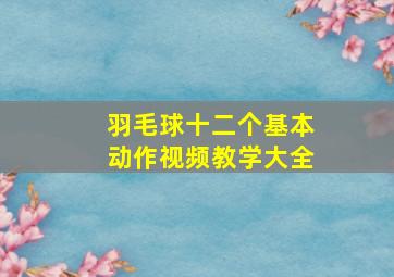 羽毛球十二个基本动作视频教学大全