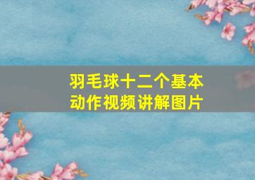 羽毛球十二个基本动作视频讲解图片