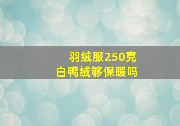 羽绒服250克白鸭绒够保暖吗