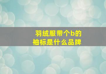 羽绒服带个b的袖标是什么品牌