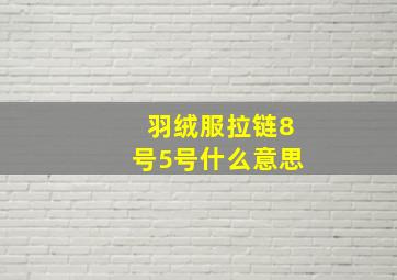 羽绒服拉链8号5号什么意思