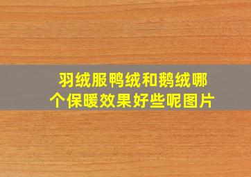 羽绒服鸭绒和鹅绒哪个保暖效果好些呢图片