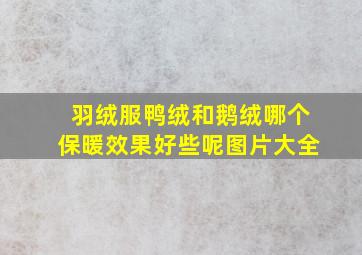 羽绒服鸭绒和鹅绒哪个保暖效果好些呢图片大全