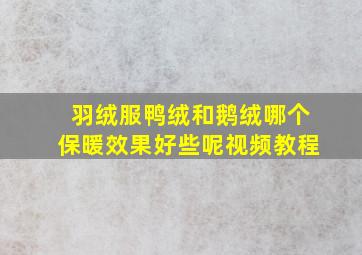 羽绒服鸭绒和鹅绒哪个保暖效果好些呢视频教程