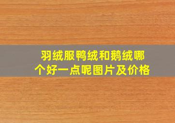 羽绒服鸭绒和鹅绒哪个好一点呢图片及价格