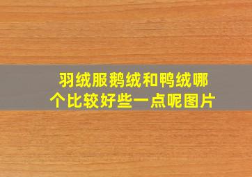 羽绒服鹅绒和鸭绒哪个比较好些一点呢图片