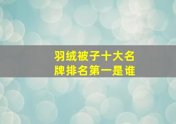 羽绒被子十大名牌排名第一是谁