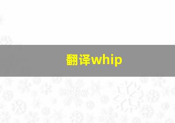 翻译whip