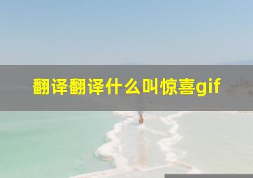 翻译翻译什么叫惊喜gif