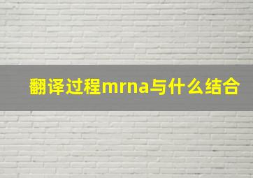 翻译过程mrna与什么结合