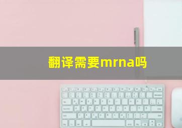 翻译需要mrna吗