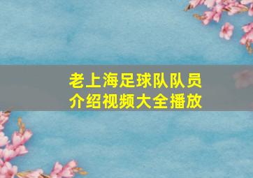 老上海足球队队员介绍视频大全播放