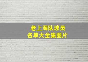 老上海队球员名单大全集图片