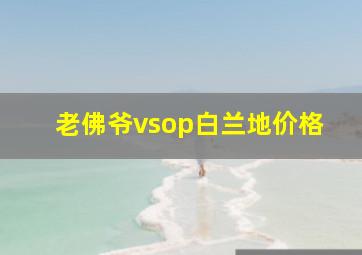 老佛爷vsop白兰地价格