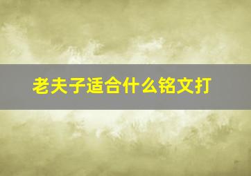 老夫子适合什么铭文打