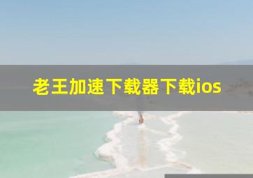 老王加速下载器下载ios