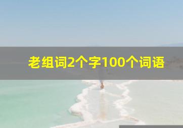 老组词2个字100个词语