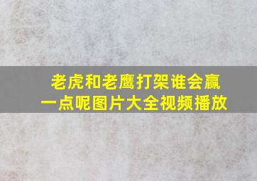 老虎和老鹰打架谁会赢一点呢图片大全视频播放