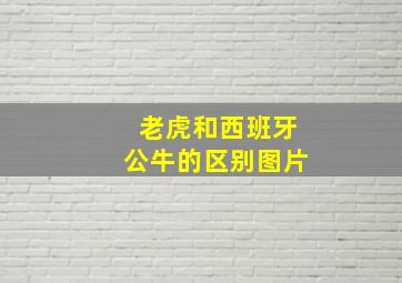 老虎和西班牙公牛的区别图片