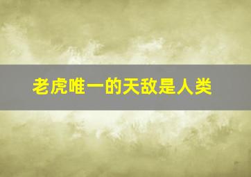 老虎唯一的天敌是人类