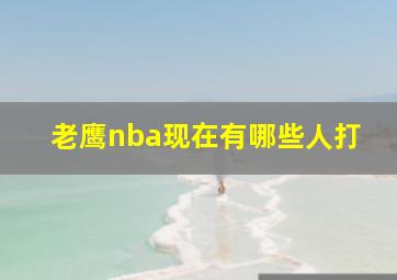 老鹰nba现在有哪些人打