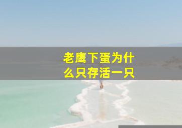 老鹰下蛋为什么只存活一只